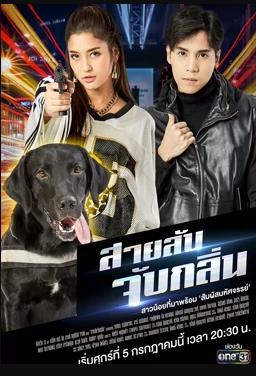 侦探K9普国语海报