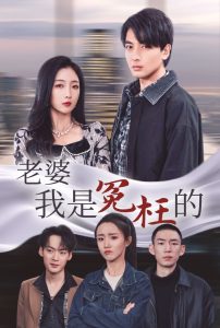老婆我是冤枉的海报