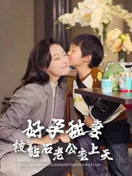好孕甜妻被钻石老公宠上天海报