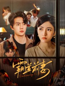 霸道前妻海报