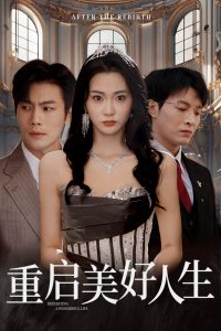 重启美好人生海报
