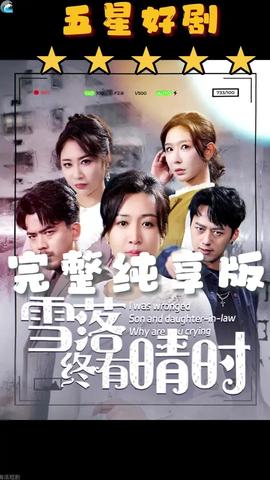 雪落终有晴时海报
