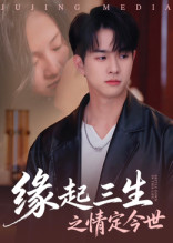 缘起三生之情定今世海报