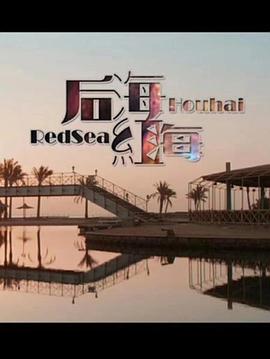 后海红海海报