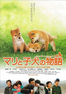 爱犬的奇迹海报