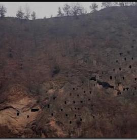 狩猎场寄死窑海报