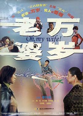 老婆万岁海报