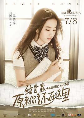 致青春原来你还在这里海报