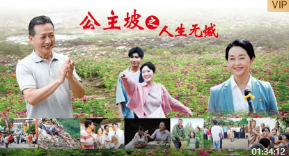 公主坡之人生无憾海报