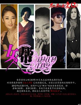 女人帮2013海报