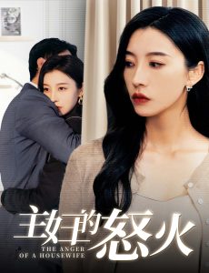 主妇的怒火海报