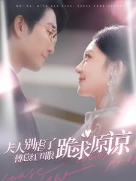 夫人别虐了傅总红着眼跪求原谅海报