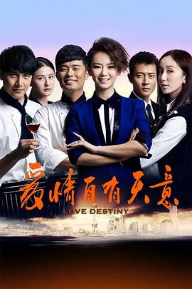 爱情自有天意2013海报
