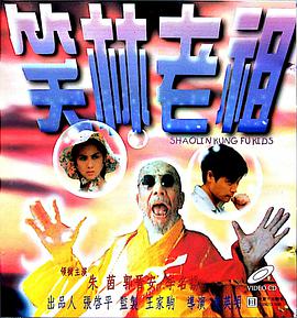 少林龙小子海报