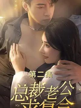 总裁老公求复合海报