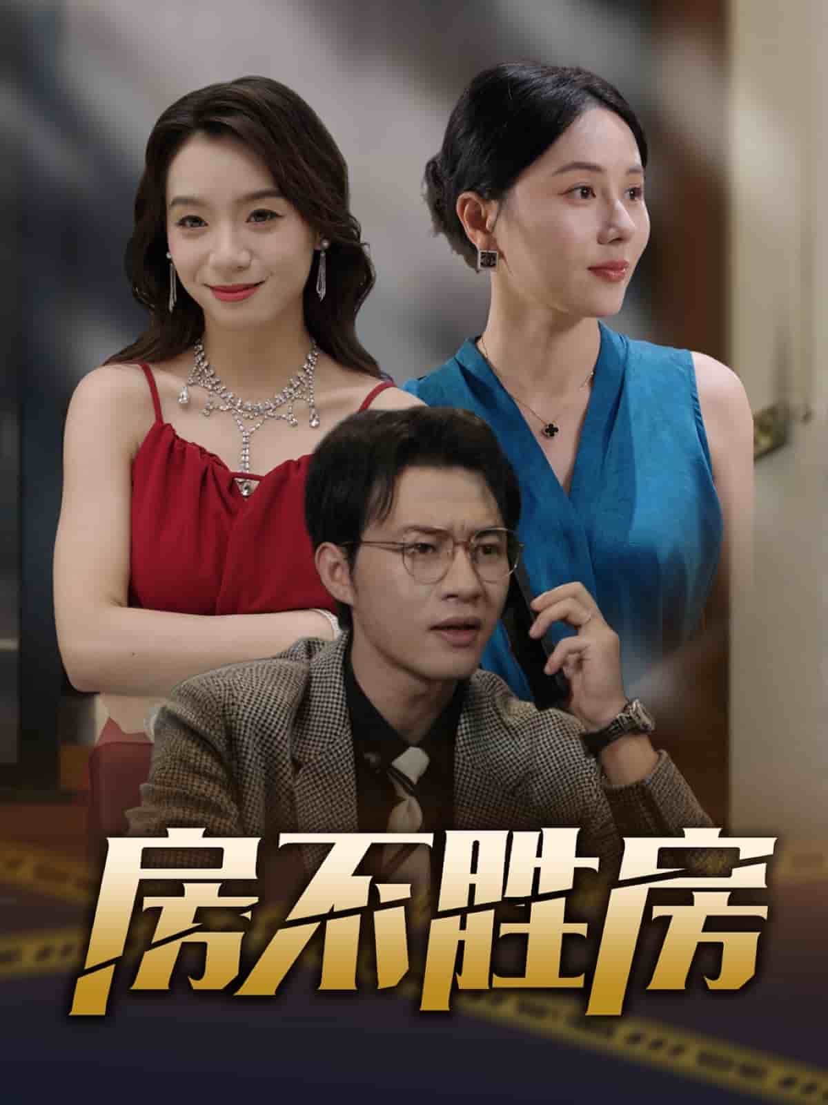 房不胜房海报