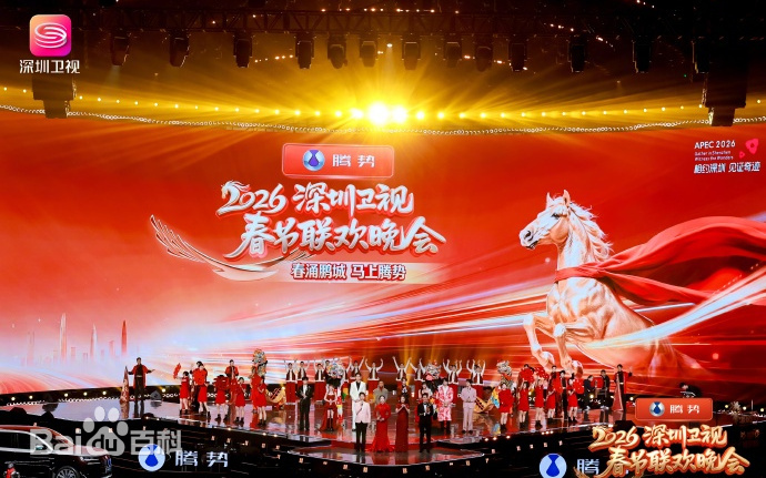 深圳卫视春节晚会海报
