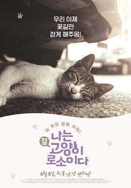 我是猫海报