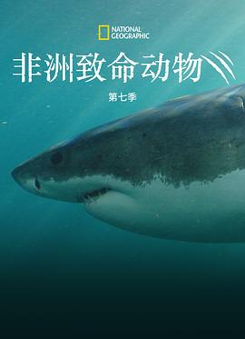 非洲致命动物第七季海报