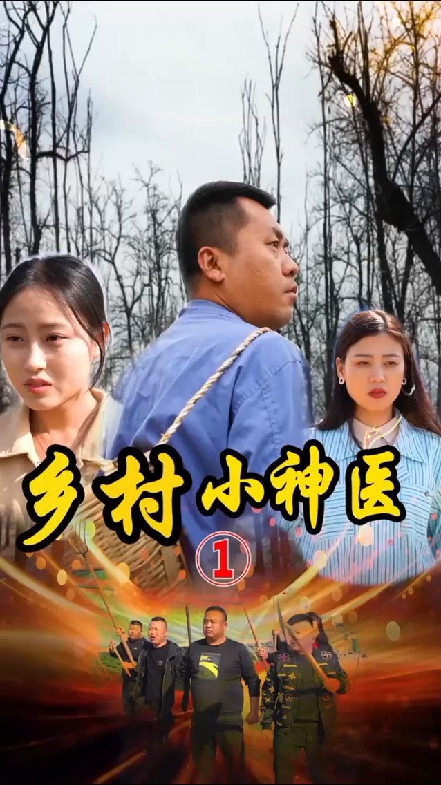 山村妙手医仙海报