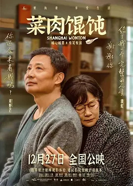 菜肉馄饨国语海报