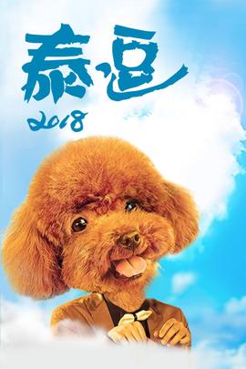 泰逗海报