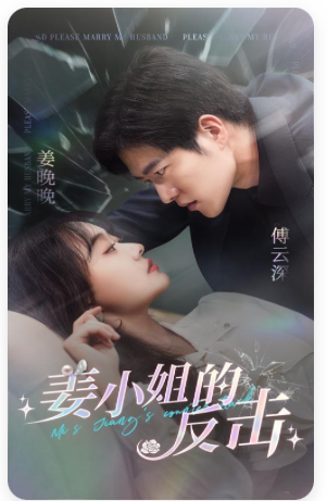 姜小姐的反击海报