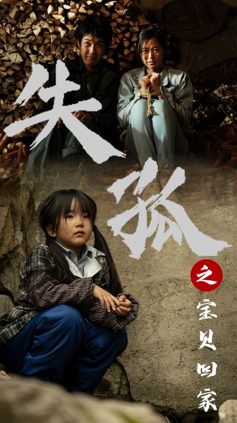 失孤之宝贝回家海报