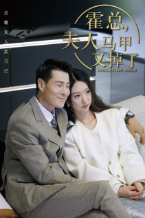 总裁夫人惹不起海报