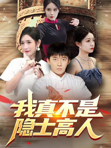 我真不是隐士高人海报