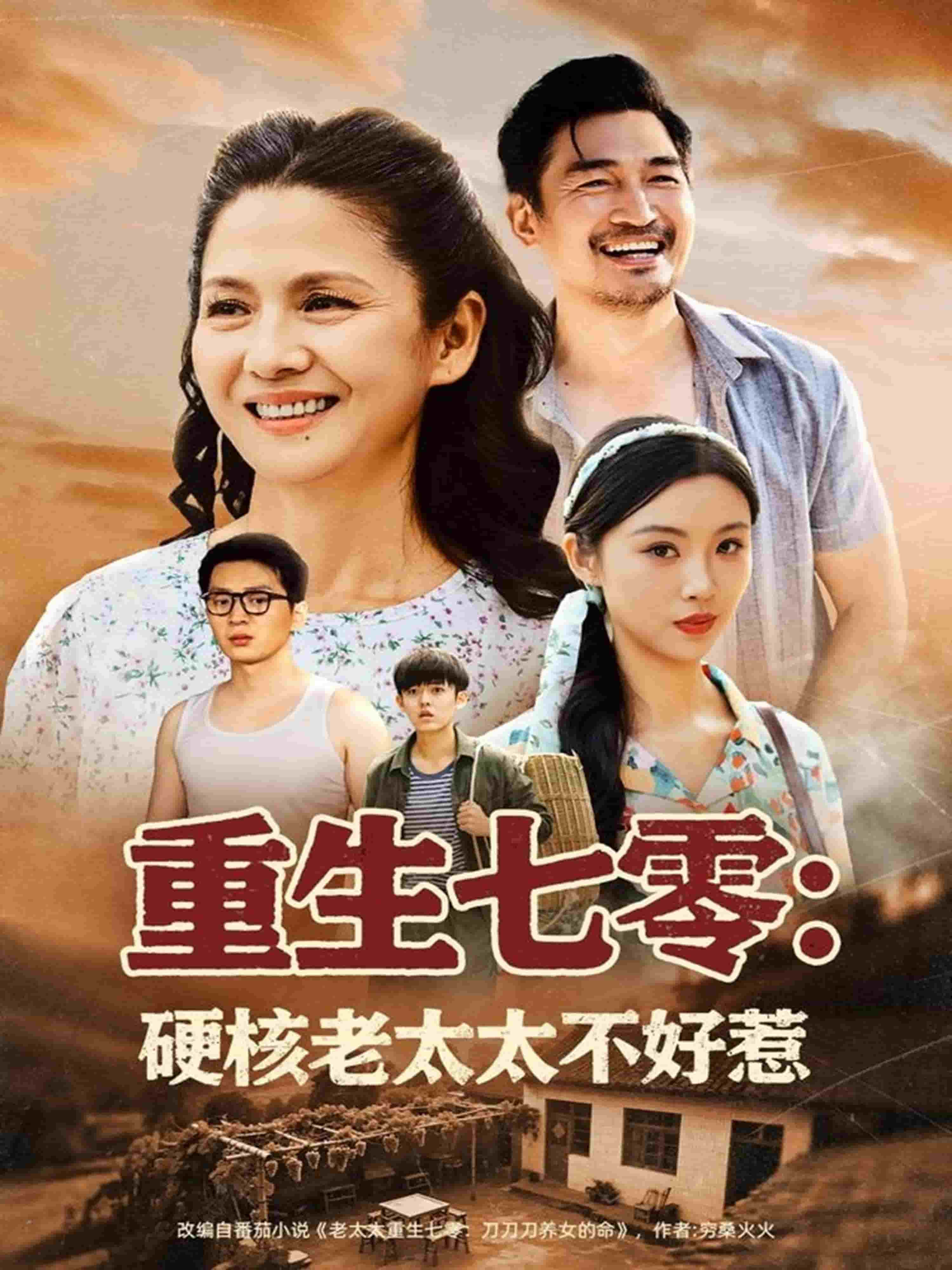 重生七零硬核老太太不好惹海报