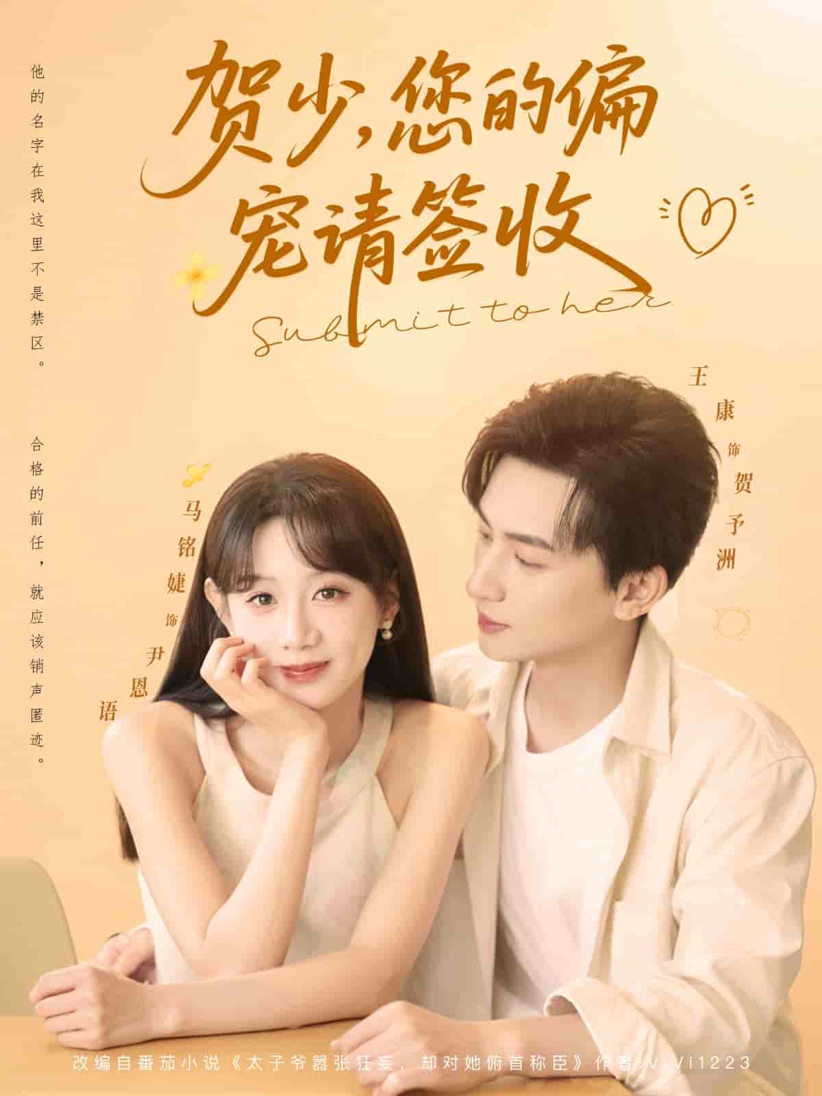 贺少您的偏宠请签收海报