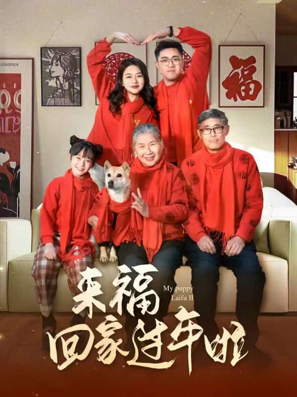 来福回家过年啦海报