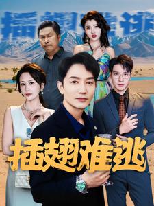 插翅难逃 短剧版海报