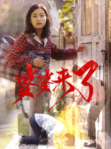 婆婆来了（短剧版）海报