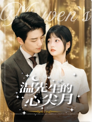 温先生的心尖月海报