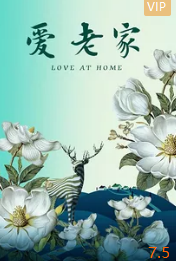 爱老家海报