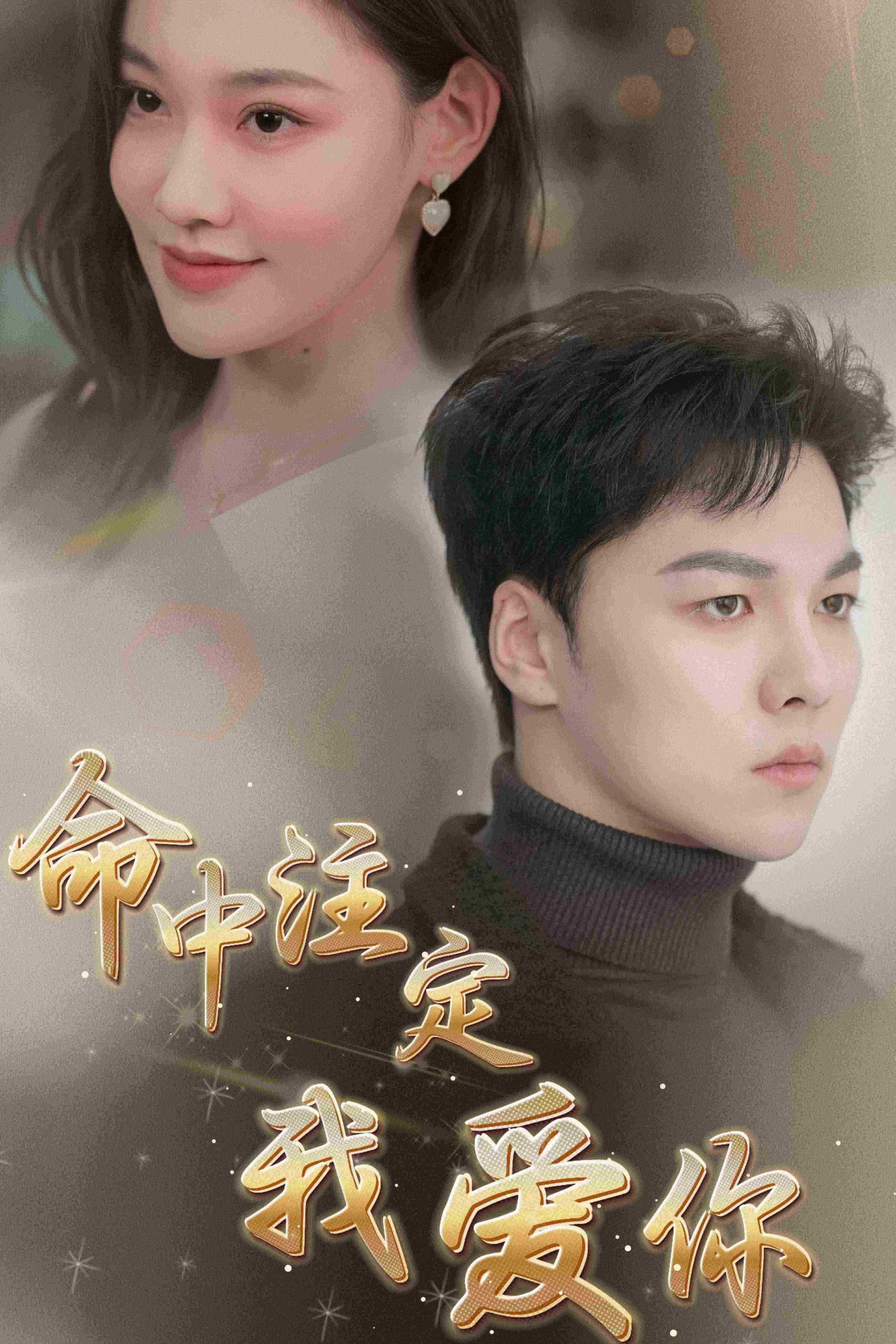 命中注定我爱你 短剧版海报