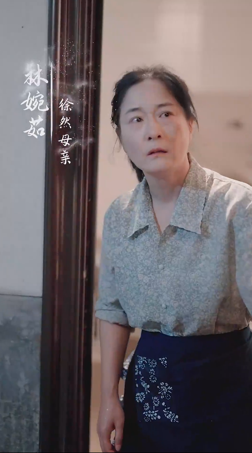 谁怜天下慈母心 短剧版海报