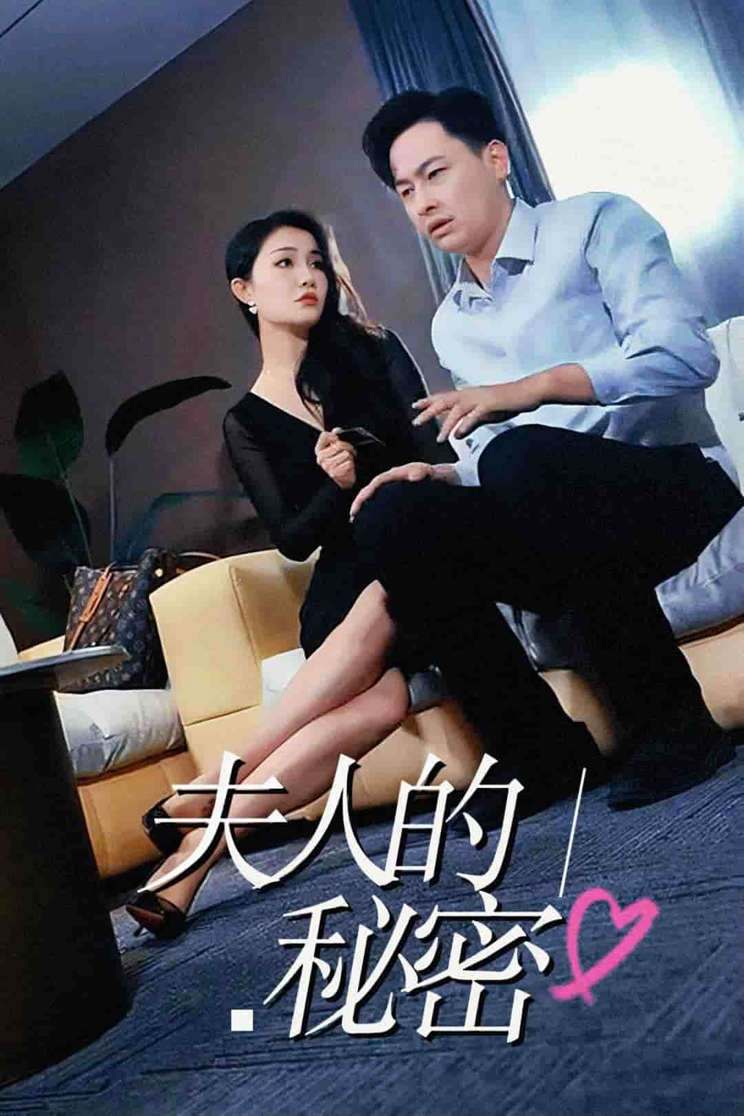夫人的秘密海报