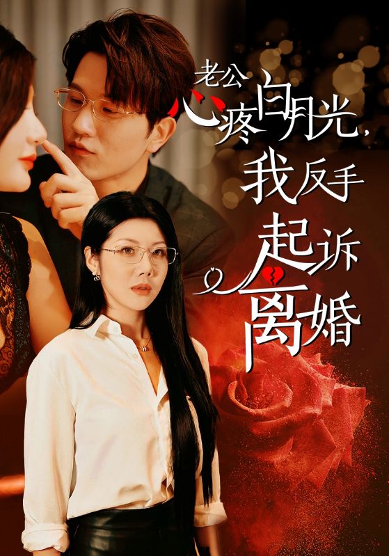 公疼白月光我反手起诉离婚海报