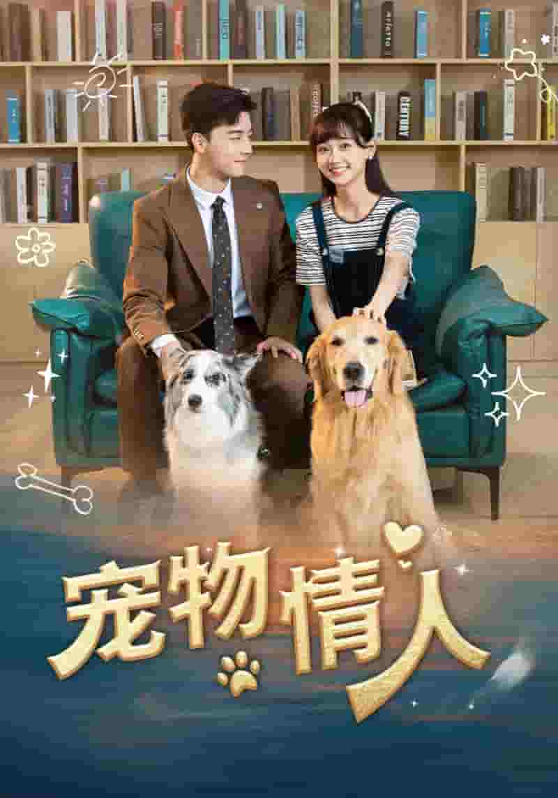 宠物情人 短剧版海报