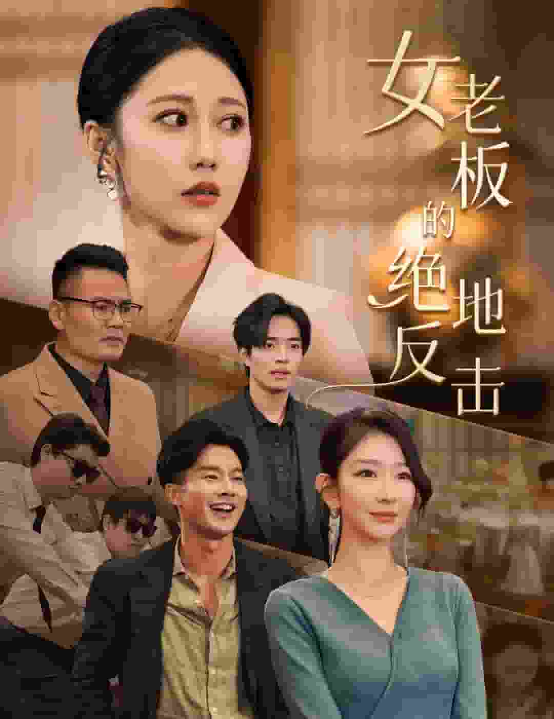 女老板的绝地反击海报