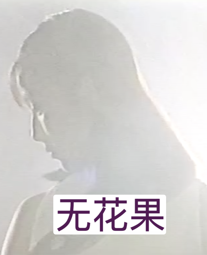无花果（1996）海报