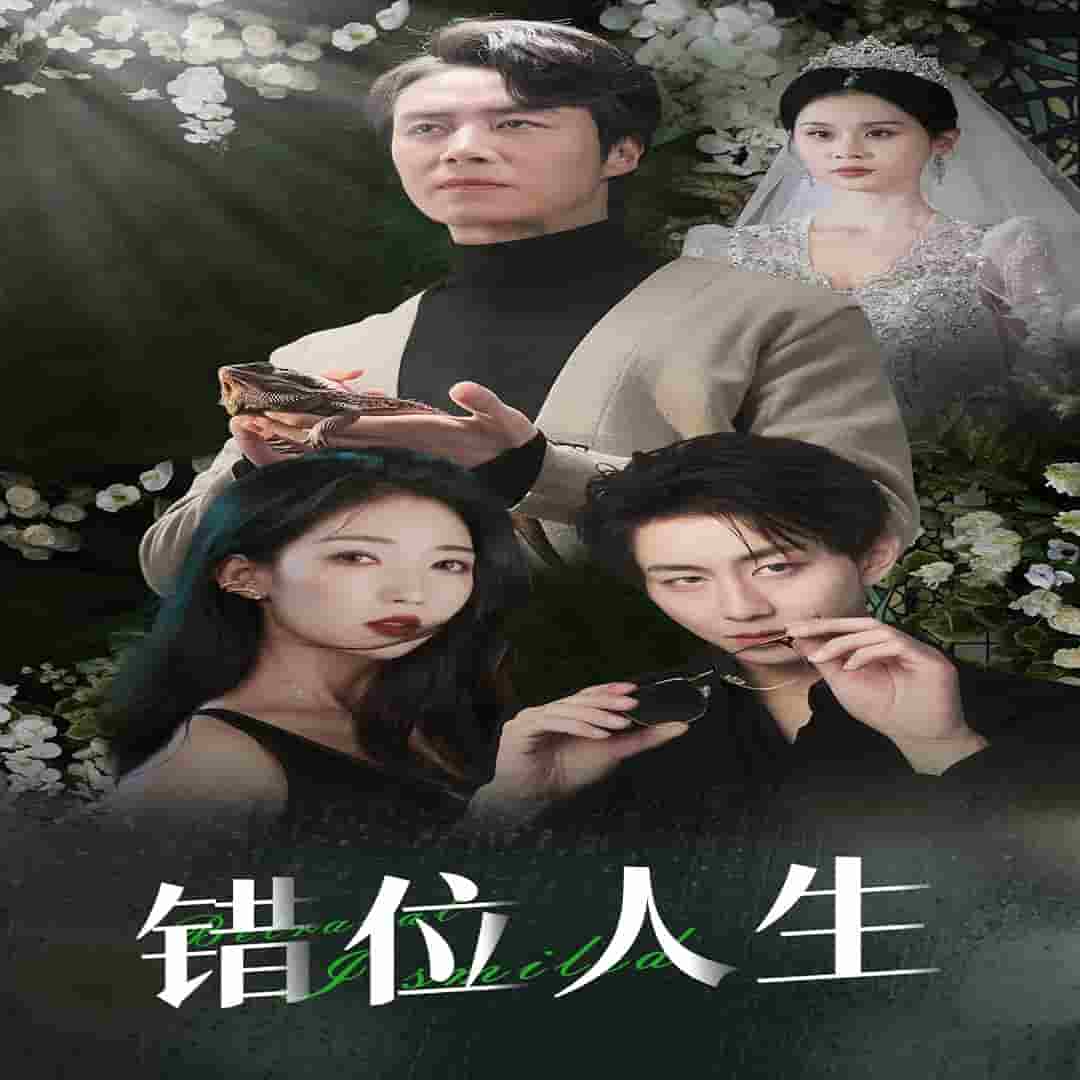 养大他人的儿子后我笑了海报