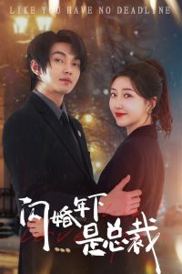 闪婚年下是总裁海报