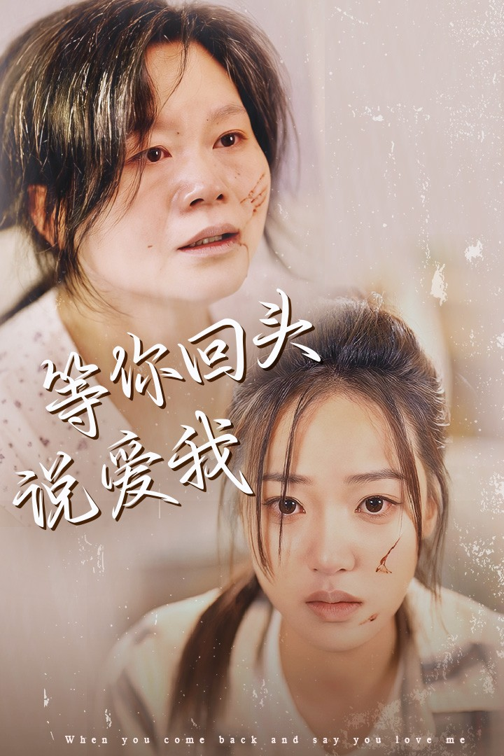 等你回头说爱我海报