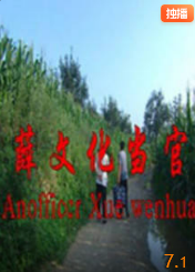 薛文化当官记海报