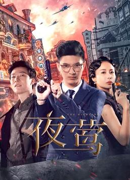 夜莺[电视剧版]海报