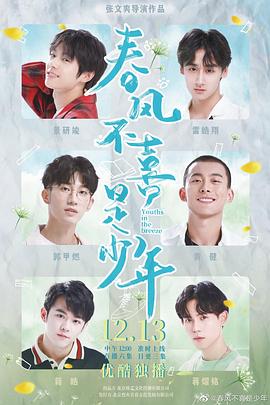 春风不喜是少年海报